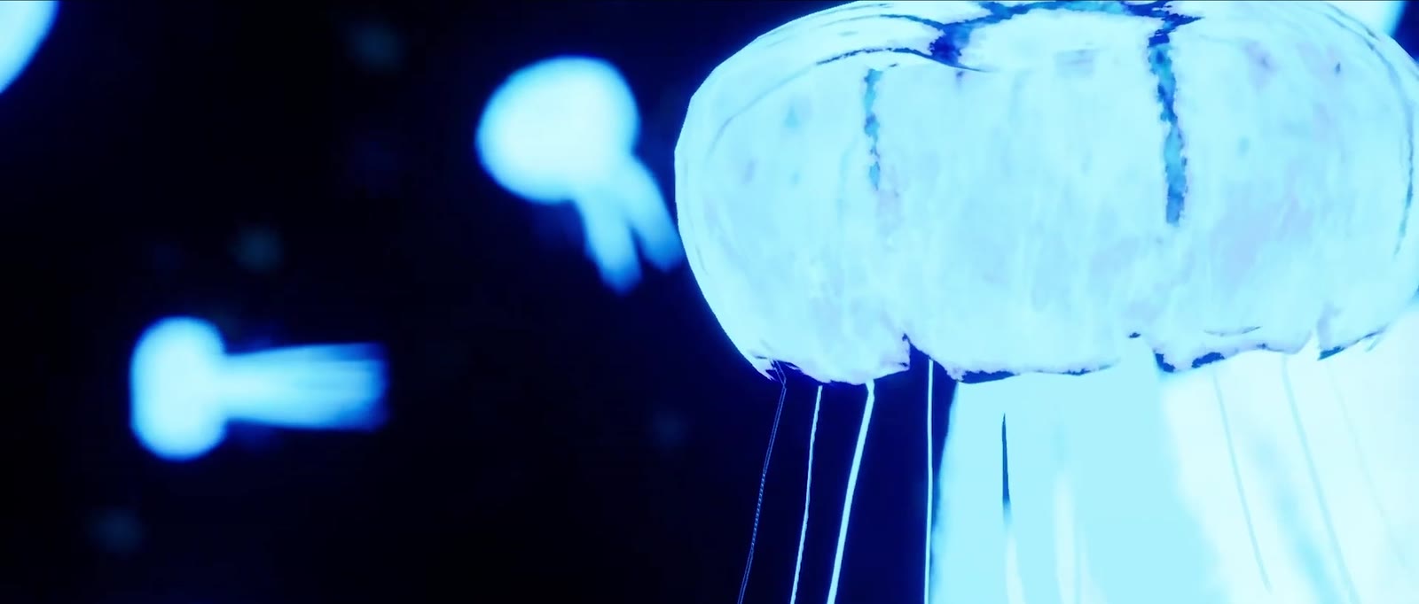 Des méduses lumineuses
